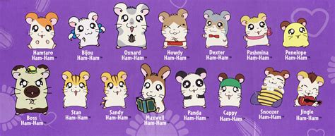 hamtaro cast